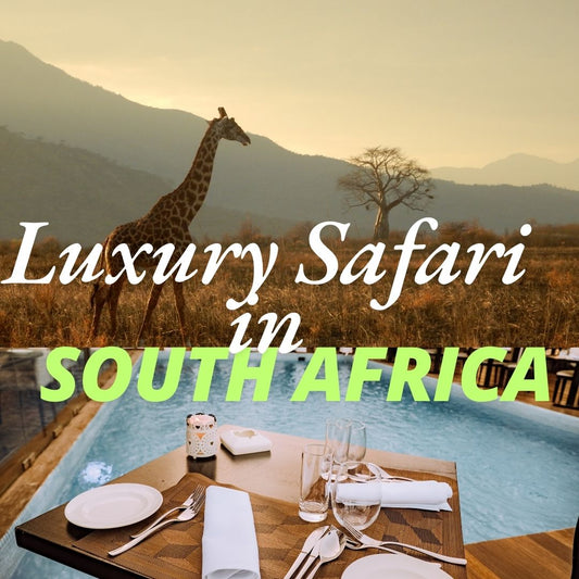 Luxury Safari in South Africa